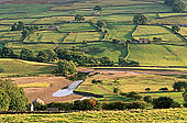 Swaledale valley, Yorkshire NP, England -  Vallée de Swaledale 12836