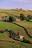 Arkengarthdale, farm, Yorkshire Dales NP, England - Ferme, Arkengarthdale  12848