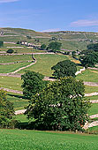 Malham typical landscape, Yorkshire NP, England -  Près de Malham   12909
