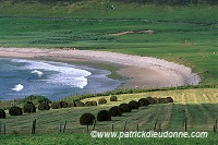 Croft, Fetlar, Shetland, Scotland - Champs sur l'île de Fetlar 13076