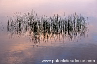 West loch, Eshaness, Shetland - West loch, Eshaness   13540