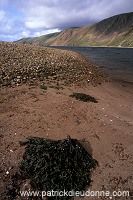 Northmavine: Ronas Voe from Heylor, Shetland - Le fjord de Ronas Voe  13641