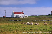 Crofting system, Unst, Shetland - Cultures traditionnelles sur Unst  14082