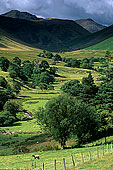 Keskadale valley, Lake District, England - Keskadale, Angleterre 14172