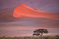 Red sand dunes, Sossusvlei, Namibia - Dunes, desert du Namib (14268)