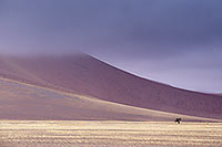 Red sand dunes, Sossusvlei, Namibia - Dunes, desert du Namib 14274