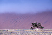 Red sand dunes, Sossusvlei, Namibia - Dunes, desert du Namib 14275