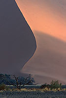 Red sand dunes, Sossusvlei, Namibia - Dunes, desert du Namib 14279