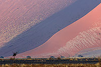 Red sand dunes, Sossusvlei, Namibia - Dunes, desert du Namib 14294