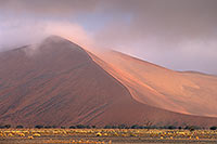 Red sand dunes, Sossusvlei, Namibia - Dunes, desert du Namib 14306