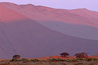 Red sand dunes, Sossusvlei, Namibia - Dunes, desert du Namib 14312