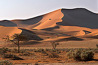 Red sand dunes, Sossusvlei, Namibia - Dunes, desert du Namib 14323