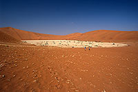 Deadvlei, Dunes and dead trees, Namibia - Deadvlei, desert du Namib - 14336