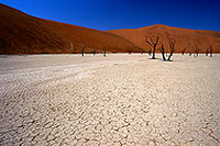 Deadvlei, Dunes and dead trees, Namibia - Deadvlei, desert du Namib - 14338