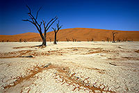 Deadvlei, Dunes and dead trees, Namibia - Deadvlei, desert du Namib - 14340