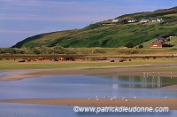 Barley Cove, near Dough, Mizen peninsula, Ireland - Mizen peninsula, Irlande  15478