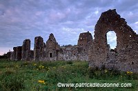 Athassel Priory, near Cashel, Ireland - Prieuré d'Athassel, Irlande 15195