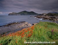Valentia island, Kerry, Ireland - Ile de Valentia, Kerry, Irlande  15457