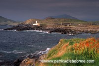 Valentia island, Kerry, Ireland - Ile de Valentia, Kerry, Irlande  15534