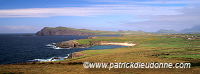 Sybil Head, Dingle peninsula, Ireland - Sybil Head, Dingle, Irlande  15564