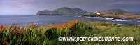 Valentia island, Kerry, Ireland - Ile de Valentia, Kerry, Irlande  15455