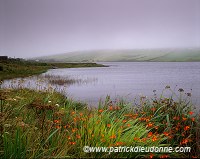Carrowmore lake, Mayo, ireland - Carrowmore Lake, Irlande  15366