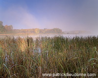 Lac de Madine, Meuse (55), France - FME145