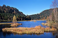 Lac de Lispach, près de la Bresse, Vosges, France - 17263