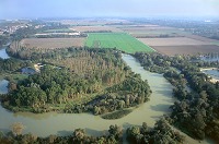 Marne, amont d'Epernay, Marne (51), France - FMV301