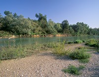 Site protege de Vesigneul, Marne (51), France - FMV279