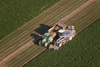 Agriculture, Champagne-Ardenne, France - FMV118
