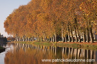 Canal en automne, Bar-le-Duc, Meuse, France - FME014