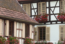 Eguisheim, Haut Rhin, Alsace, France - FR-ALS-0218