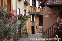 Eguisheim, Haut Rhin, Alsace, France - FR-ALS-0235