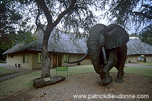 Kruger National Park, South Africa - Afrique du Sud - 21159