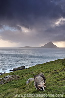 Koltur from Streymoy, Faroe islands - Ile de Koltur, iles Feroe - FER093