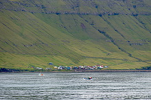 Hestur, Faroe islands - Hestur, Iles Feroe - FER460