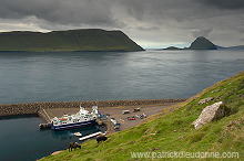 Ferry, Gamlaraett, Faroe islands - Ferry, Iles Feroe - FER461