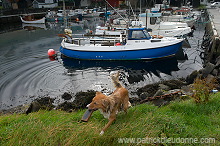 Leirvik harbour, Eysturoy, Faroe islands - Port de Leirvik, iles Feroe - FER141