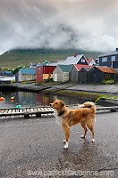 Leirvik harbour, Eysturoy, Faroe islands - Port de Leirvik, iles Feroe - FER144