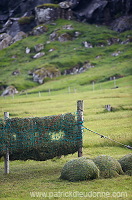 Hellur, Eysturoy, Faroe islands - Hellur, Eysturoy, iles Feroe - FER258