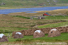 Grothusvatn, Sandoy, Faroe islands - Grothusvatn, iles Feroe - FER380