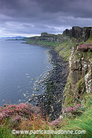 High basaltic cliffs, Skye, Scotland -  Falaises, Ecosse - 19346